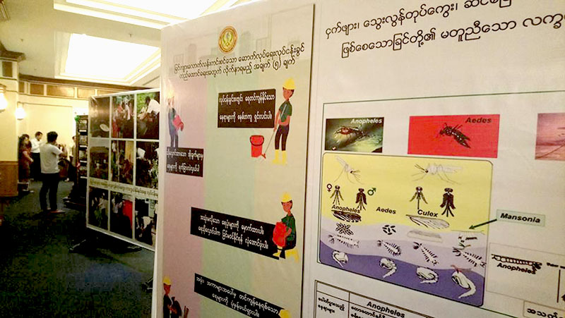 ယခုႏွစ္ ရန္ကုန္တြင္ ေသြးလြန္တုပ္ေကြးေရာဂါ ျဖစ္ပြားသူ ၆၇၀ ေက်ာ္ရွိၿပီး ၅ ဦး ေသဆံုး