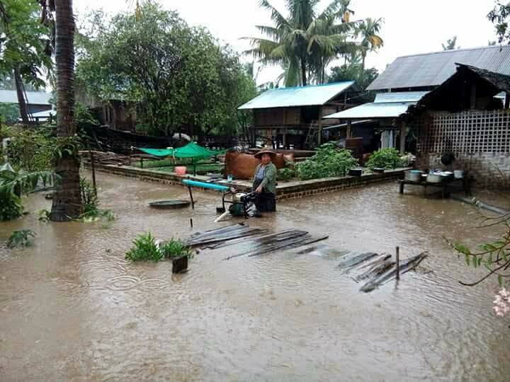 ကနီၿမိဳ႕နယ္တြင္ မိုးသည္းစြာရြာသြန္းမႈေၾကာင့္ ေနအိမ္၊ စိုက္ခင္းေတြပ်က္စီး