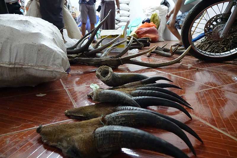 ျပည္ၿမိဳ႕တြင္ ေတာ႐ုိင္းတိရစာၦန္ အစိတ္အပုိင္းမ်ား ဖမ္းမိ