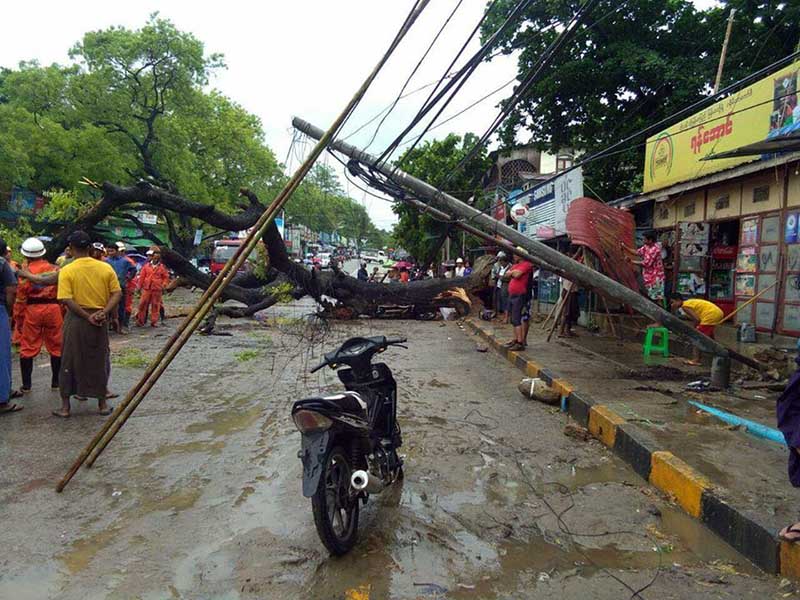 ​ေခ်ာက္​ၿမိဳ႕တြင္​ သစ္​ပင္​လဲၿပိဳမႈေၾကာင့္ လူ ၃ ဦး ထိခိုက္​