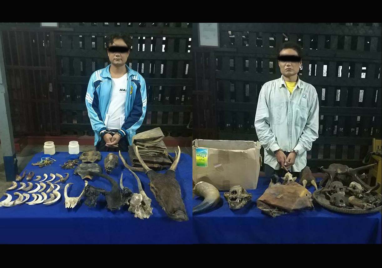 ၾကံခင္​းၿမိဳ႕နယ္​တြင္ ​​ေတာ႐ိုင္​းတိရိစၦာန္ အစိတ္​အပိုင္​းမ်ား ဖမ္​းဆီးရမိ