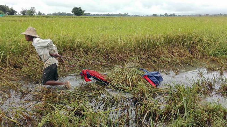 ကုမၸဏီအခ်ဳိ႕ ေငြေခ်းမည္ကို မယံုၾကရန္ အစိုးရက ေတာင္သူမ်ားအား အသိေပး
