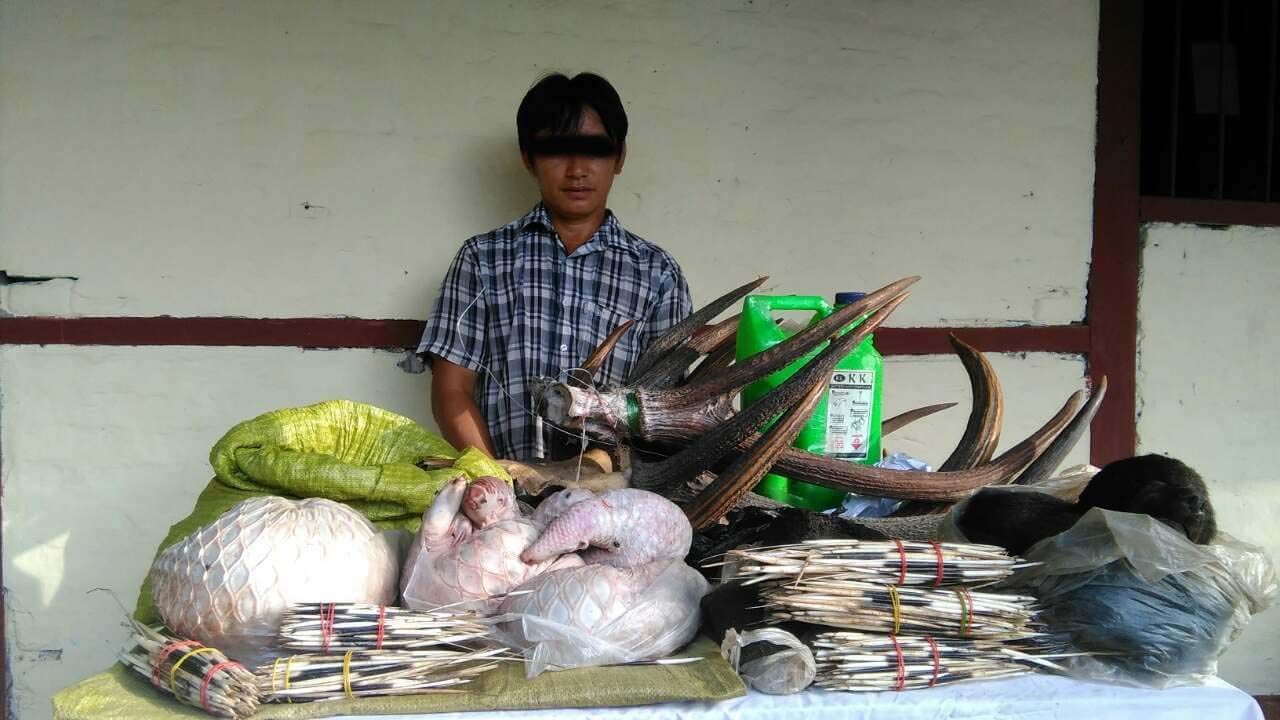ငဖဲၿမိဳ႕နယ္တြင္ တိရိစၦာန္အစိတ္အပိုင္းမ်ားႏွင့္ ေပါက္ကြဲေစတတ္သည့္ ပစၥည္းမ်ား ဖမ္းမိ