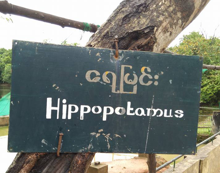 ေလွာ္ကားတြင္ လံုၿခံဳေရး၀န္ထမ္း ၁ ဦး ေရျမင္းအကိုက္ခံရ၍ ေသဆုံး