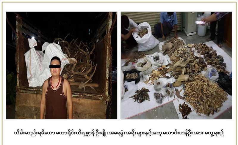 ခ်မ္းေအးသာစံၿမိဳ႕နယ္၌ ေတာ႐ိုင္း တိရစာၦန္ထြက္ ပစၥည္းမ်ား ဖမ္းမိ