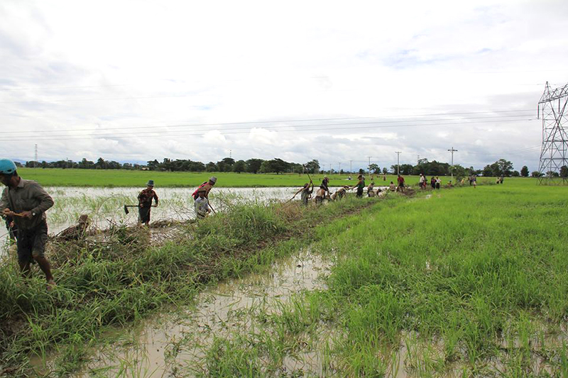 ေတာင္သူမ်ား ကန္႔ကြက္ေနသည့္ၾကားမွ လယ္ေျမထဲ ေရႏုတ္ေျမာင္း တူးေဖာ္