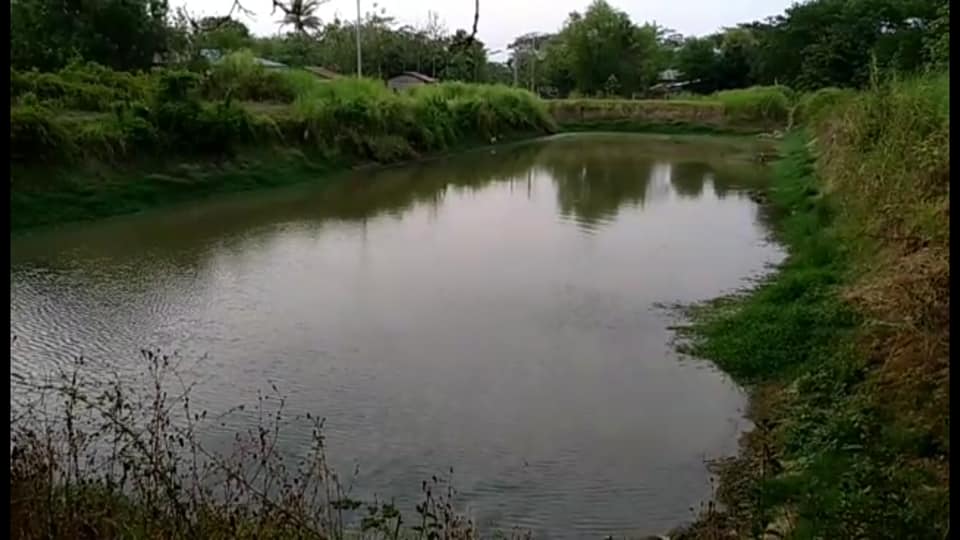 ဇီးကုန္း အမ်ားပိုင္ေသာက္ေရကန္တြင္ ေရခပ္သူ ၇ ဦးႏွင့္အလႉရွင္ တရားစြဲခံရ