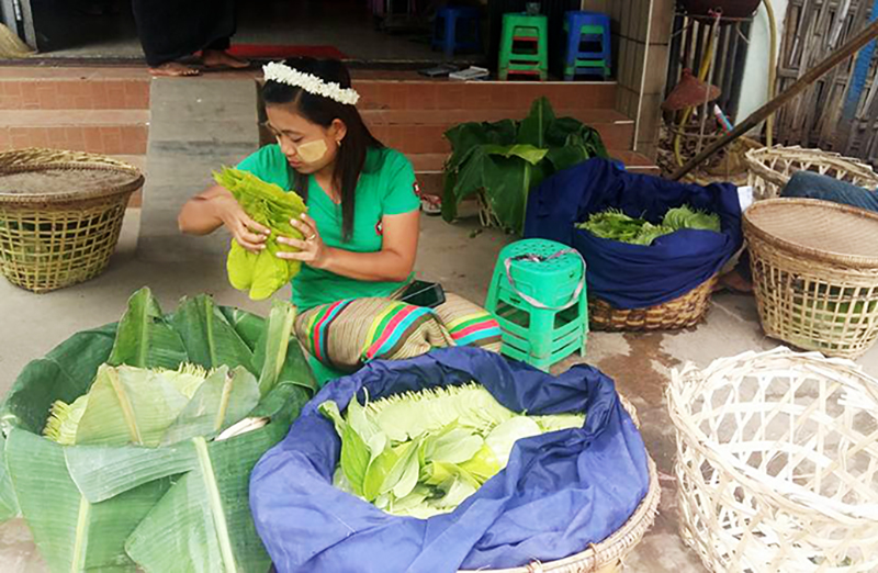 မြန္ျပည္နယ္အတြင္း ကြမ္းရြက္ေဈးႏႈန္း ၂ ဆ ျမင့္တက္