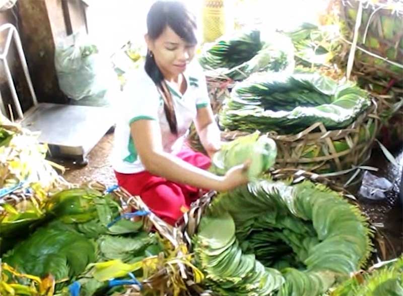 မြန္ျပည္နယ္အတြင္း ေရႀကီးမႈေၾကာင့္ ကြမ္းရြက္ေဈးႏႈန္း ၂ ဆ ျမင့္တက္
