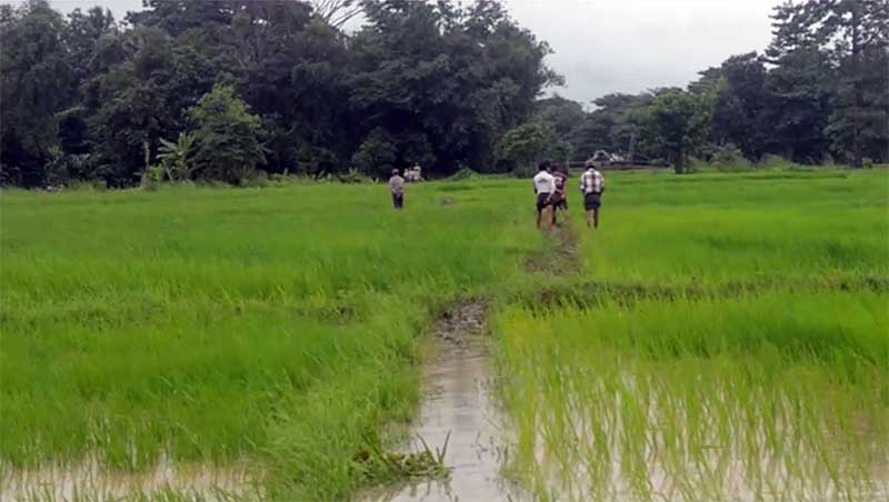 အဂၤပူတြင္ ႏွစ္စဥ္ လယ္ဧက ၁ဝဝဝ ေက်ာ္ ေရလႊမ္းမုိးမႈဒဏ္ ခံေနရ
