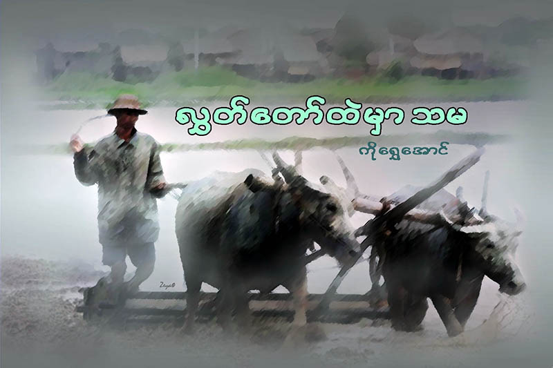 လႊတ္ေတာ္ထဲမွာ သမ
