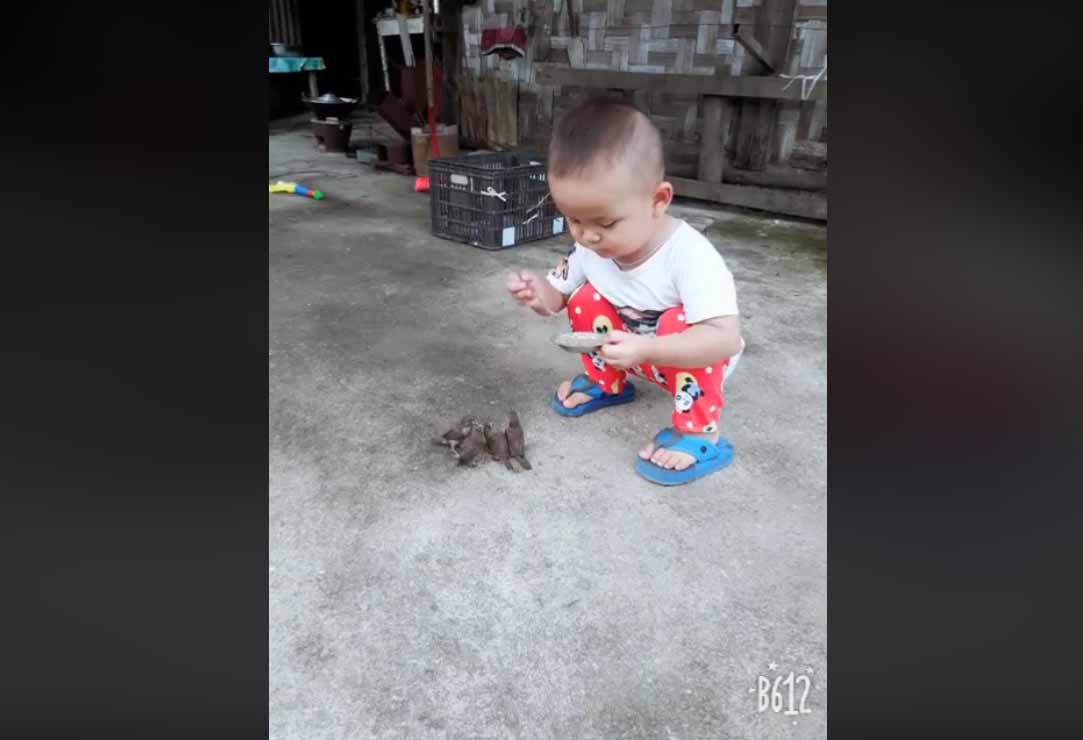 ကေလးငယ္ႏွင့္ ငွက္ကေလးမ်ား၏ သံေယာဇဥ္ (႐ုပ္သံ)