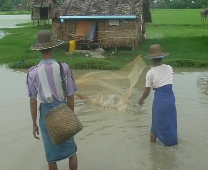 ငါးဖမ္းခြင့္ ပိတ္လုိက္သျဖင့္ လက္လုပ္လက္စားငါးဖမ္းသမားမ်ား အခက္အခဲျဖစ္