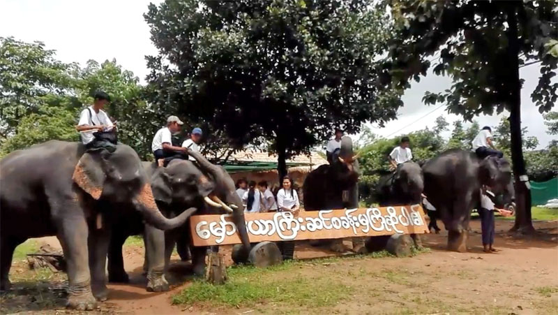 ဆင္အေျချပဳ ခရီးသြားလုပ္ငန္းမွ ဝင္ေငြတိုးလာ