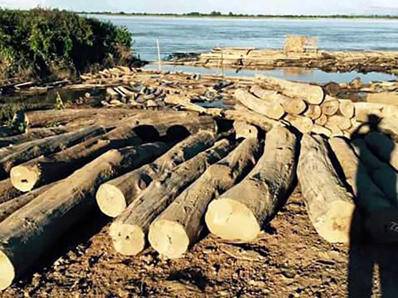 တရားမ၀င္ သစ္ခိုးထုတ္လုပ္မႈမ်ားကို ထိထိေရာက္ေရာက္ မတားဆီးႏုိင္ေသး