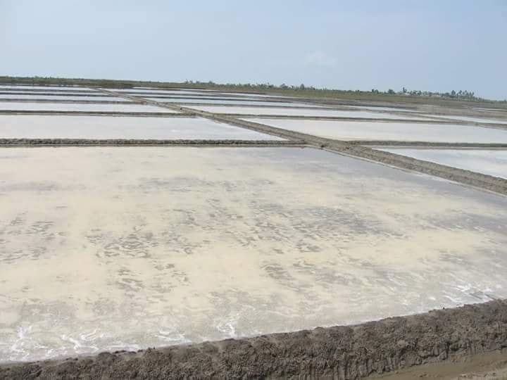 ေခ်းေငြရေရး တင္ျပေပမယ့္ အေၾကာင္းမျပန္၍ မြန္ျပည္နယ္ ဆားလုပ္ငန္းရွင္မ်ား အခက္ႀကံဳ