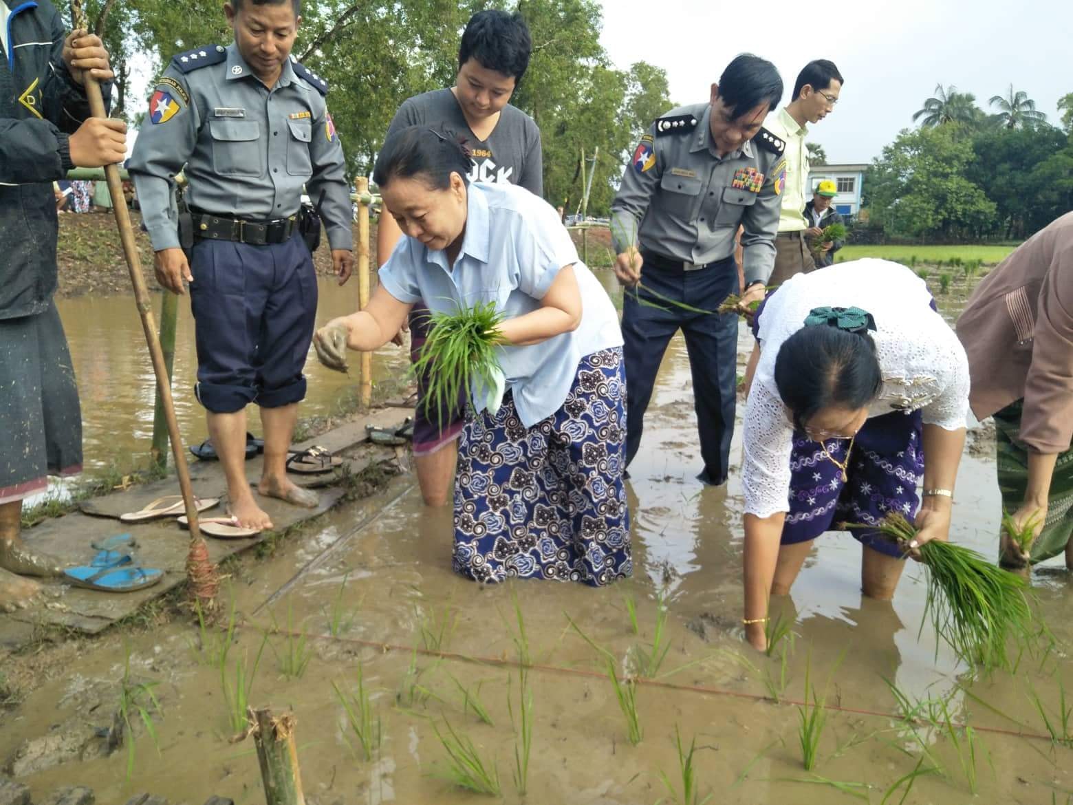 ကရင္ျပည္နယ္ေရေဘးျပန္လည္ထူေထာင္ရန္ စုိက္ပ်ဳိးေရးကို ဦးစားေပးလုပ္ေဆာင္ေန