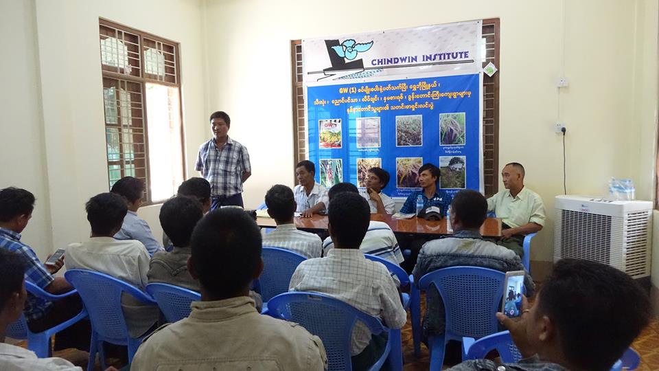 ဂရိတ္ေဝါ ပုလဲသြယ္စပ္မ်ိဳးစပါးကိစၥ အျမန္ေျဖရွငး္ေပးရန္ ေရႊဘိုၿမိဳ႕နယ္ေတာင္သူမ်ား ေတာင္းဆို
