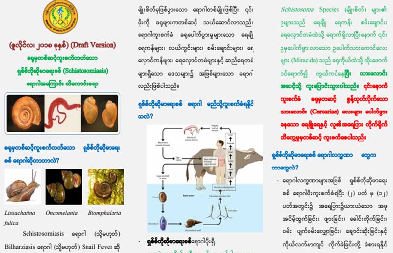 ရခုိင္တြင္ ေရခ်ဳိခ႐ုမွ ကူးစက္သည့္ သန္ေကာင္ေရာဂါ ျဖစ္ပြားသူ ၅၀၀ ေက်ာ္ ေတြ႔ရွိ