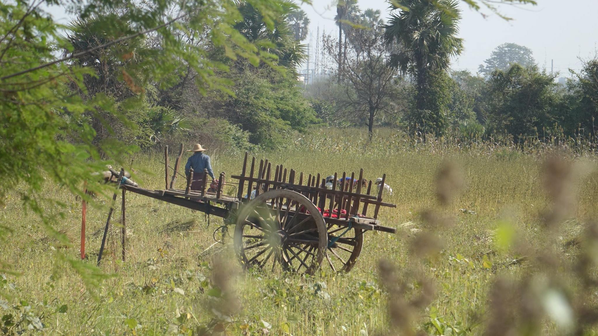 အက္ဆစ္ေငြ႔ေၾကာင့္ ပ်က္စီးသီးႏွံအတြက္ နစ္နာေၾကးေပးရန္ လက္ပံေတာင္းေဒသံမ်ား ေတာင္းဆုိ