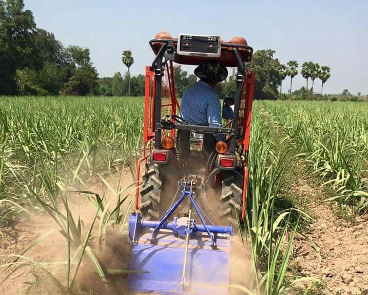 မြန္ျပည္နယ္အတြင္း ႏွစ္စဥ္ေရနစ္ျမဳပ္သည့္ လယ္ေျမအခ်ဳိ႕တြင္ ႀကံႏွင့္အုန္းေမႊး စိုက္ပ်ိဳးမည္