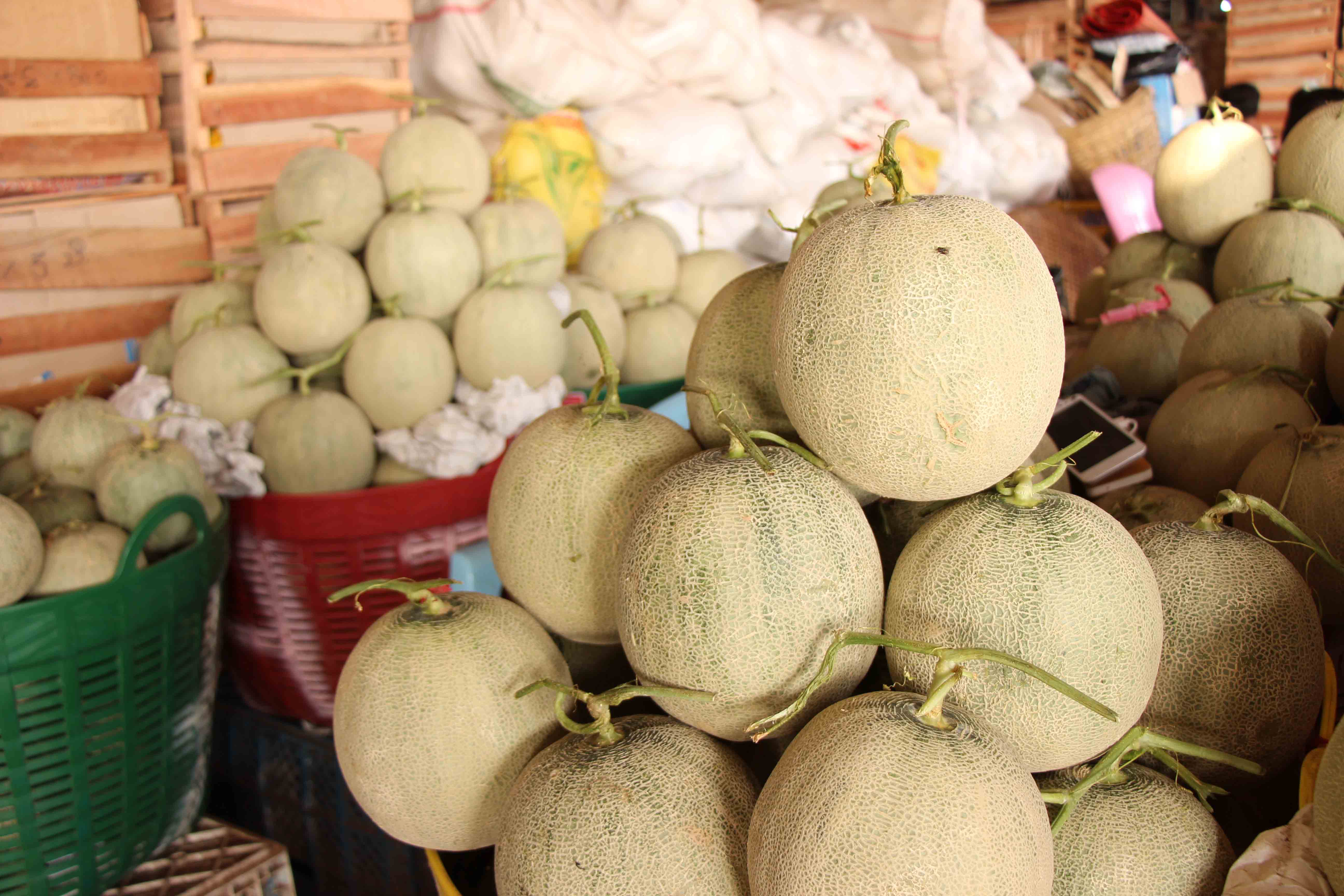 ေဒသထြက္သစ္သီး၀လံမ်ား ႏိုင္ငံတကာေစ်းကြက္ထိုးေဖာက္ႏိုင္ေအာင္ ေဆာင္ရြက္ေန