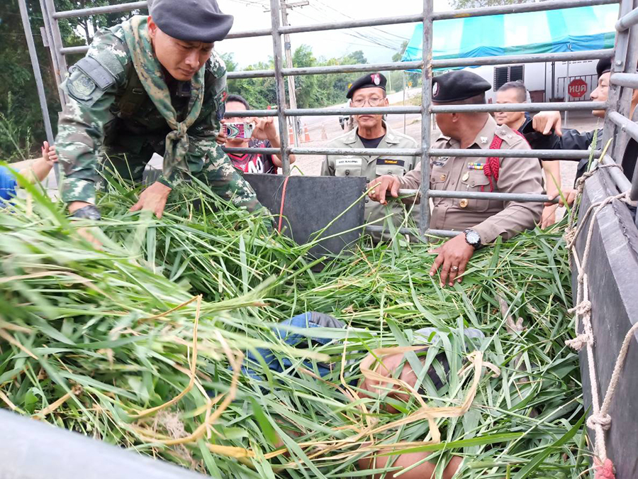 ျမက္ပင္မ်ားျဖင့္ ဖံုးအုပ္တင္ေဆာင္လာသည့္ တရားမ၀င္ ျမန္မာ ၅ ဦးကို ထိုင္းရဲဖမ္းဆီး