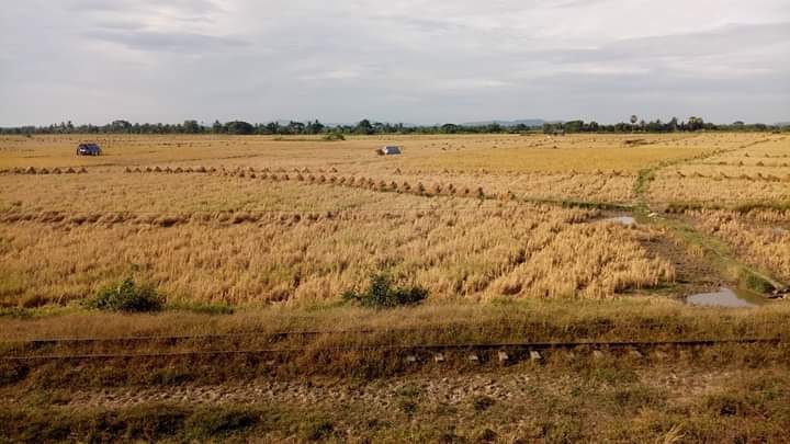 သိိမ္းဆည္းေျမျပန္စြန္႔လႊတ္ေရး ျပည္နယ္ႏွင့္တိုင္းအစုိးရမ်ား လက္ေရွာင္ေနဟု သမၼတေျပာ