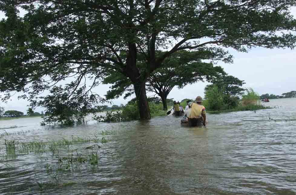 ဧရာ၀တီတုိင္း ပ်က္စီးစပါးဧက ၆ ေသာင္းအတြက္ မ်ဳိးစပါး ျဖန့္ေ၀ရန္ စီစဥ္