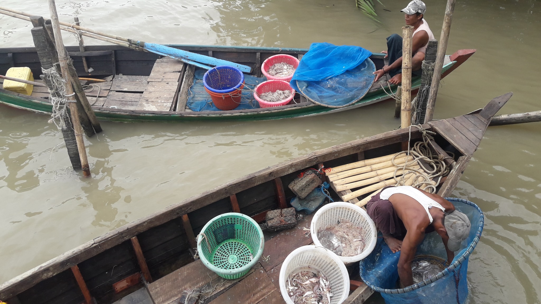ရာသီဥတုမေကာင္းသျဖင့္ မ်ွင္​က်ားလုပ္ငန္းလုပ္ကိုင္သည့္ ေရလုပ္သားမ်ားအခက္ၾကံဳေန ​