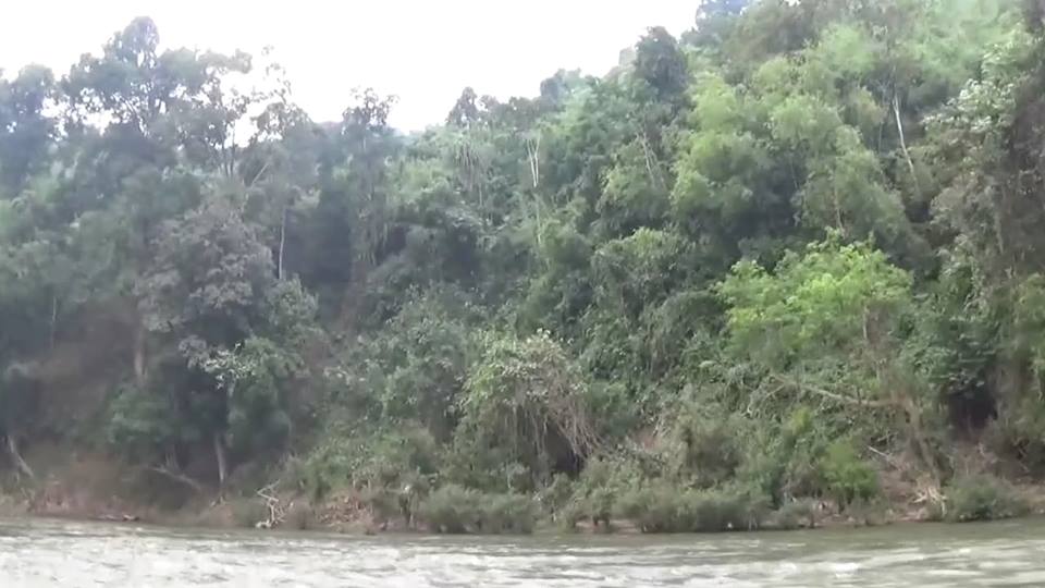 ေကအန္ယူ သစ္ေတာဥပေဒႏွင့္ တေျပးညီျဖစ္ေရး လုပ္ေနဟု ဘားအံသစ္ေတာဦးစီးဌာနေျပာ
