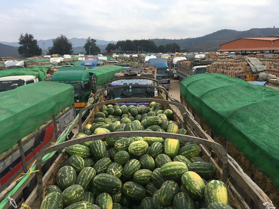 မူဆယ္ သစ္သီးကုန္တင္ကားမ်ား ပိတ္ဆို႔မႈ ေနာက္ဆံုးအေျခအေန သတင္းစာရွင္းလင္းပြဲ ျပဳလုပ္
