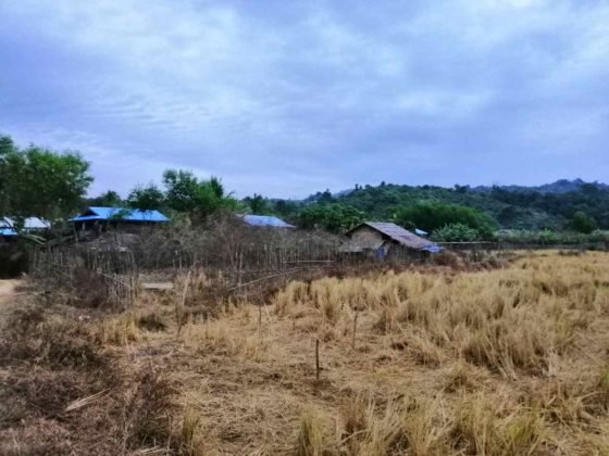 ဘူးသီးေတာင္ၿမိဳ႕နယ္၊ ကံျပင္ရြာက မိသားစုမ်ားဘ၀ကို တပ္လွန္႔လိုက္ေသာ ေသနတ္သံမ်ား