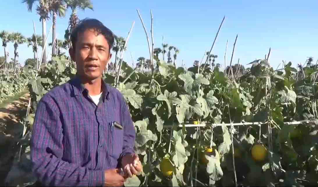 က်င္စန္းေက်ာ့လမ္းပိတ္ဆို႔မႈေၾကာင့္ သခြားစိုက္ေတာင္သူမ်ား အခက္ႀကံဳ