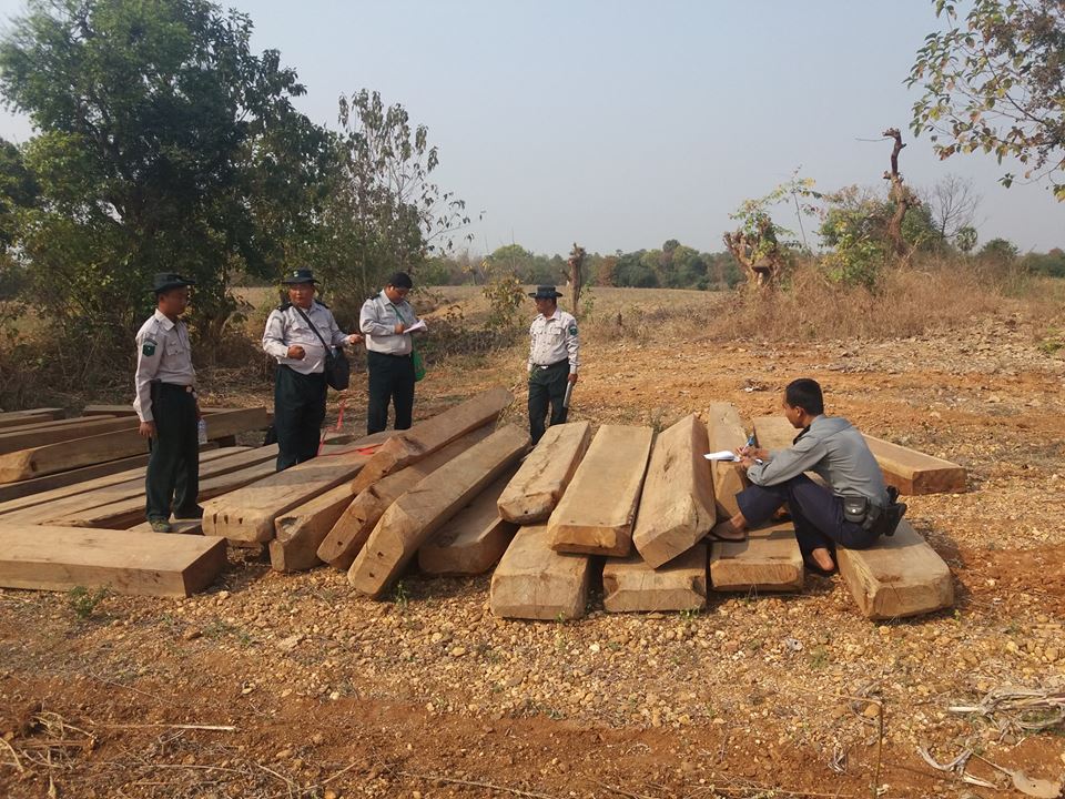 စစ္ကိုင္းတုိင္းအတြင္း တရားမဝင္သစ္ဖမ္းဆီးရမိမႈ ယခင္ႏွစ္ထက္ နည္းလာ