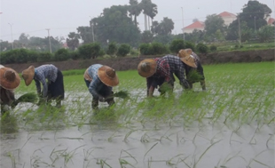 ေတာင္သူလယ္သမားမ်ားကို ကာကြယ္သည့္ဥပေဒ ျပ႒ာန္းေပးရန္ လိုအပ္