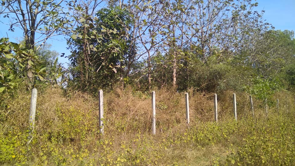 တပ္သိမ္းေျမမ်ားျပန္ရရွိေရး တိုက္ႀကီးေဒသခံေတာင္သူမ်ား ေတာင္းဆို