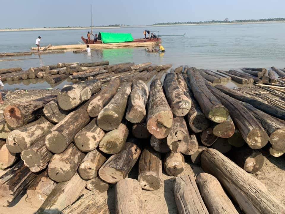 ကသာတြင္ ဝါးေဖာင္ေအာက္၀ွက္သယ္လာသည့္ သစ္လံုးေရ ၄၅၀ ေက်ာ္ ဖမ္းမိ