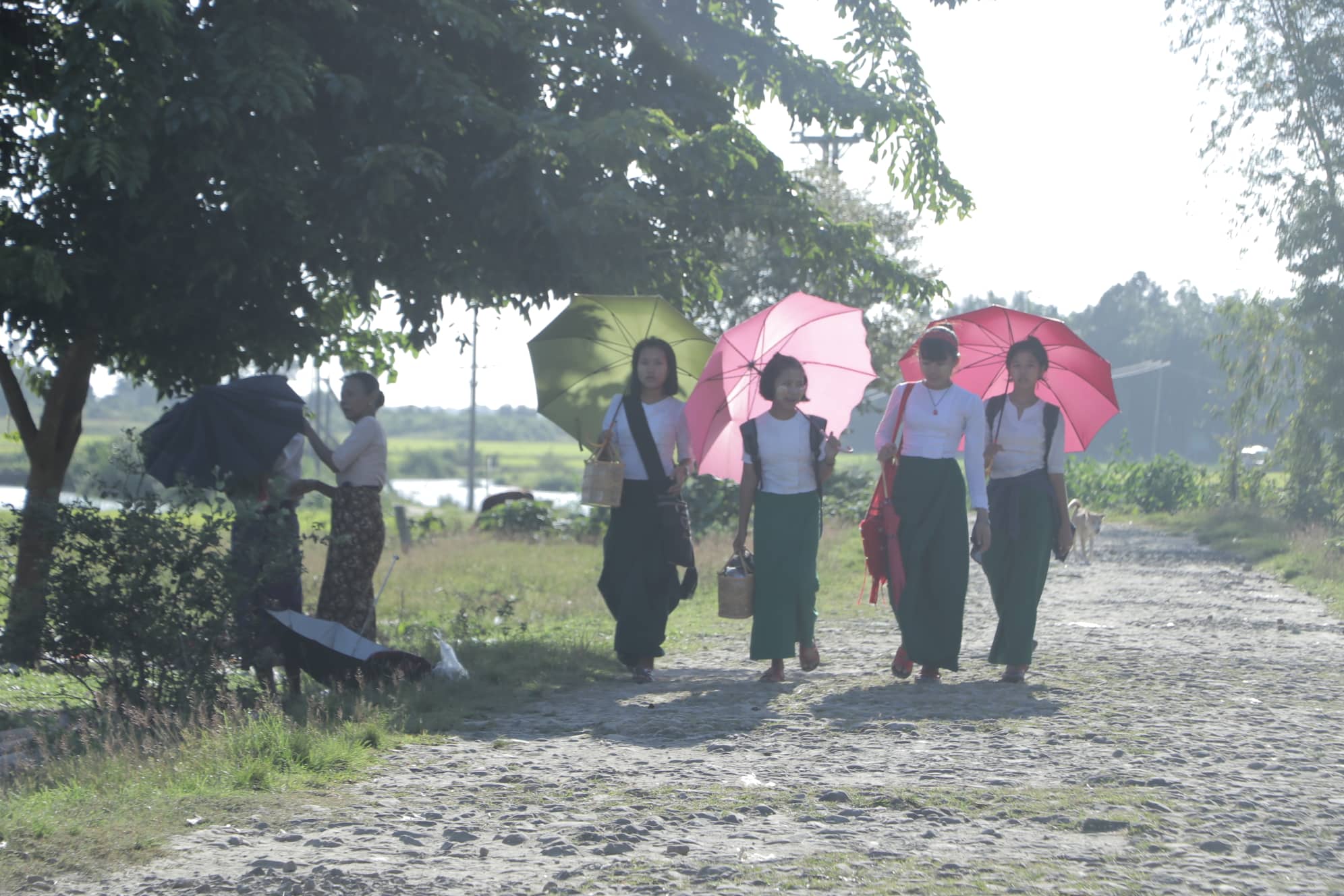 ရခုိင္တြင္ တကၠသိုလ္ဝင္တန္းစာေမးပြဲကာလ တုိက္ပြဲမ်ား ရပ္တန္႔ေပးရန္ ေတာင္းဆုိ