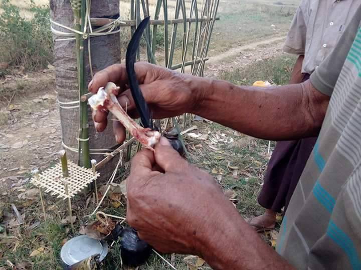ကယား႐ုိးရာ ငွက္လုိက္ပြဲ