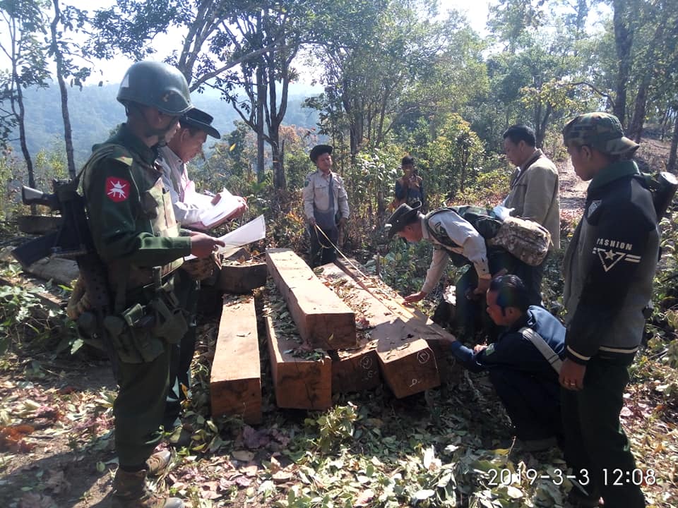မုိင္းတုံတြင္ ၁၀ ရက္အတြင္း တရားမ၀င္သစ္ ၁၅ တန္ေက်ာ္ ဖမ္းမိ