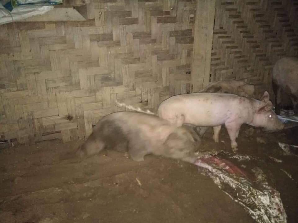 ကသာၿမိဳ႕နယ္တြင္ ေလျပင္းတိုက္ခတ္