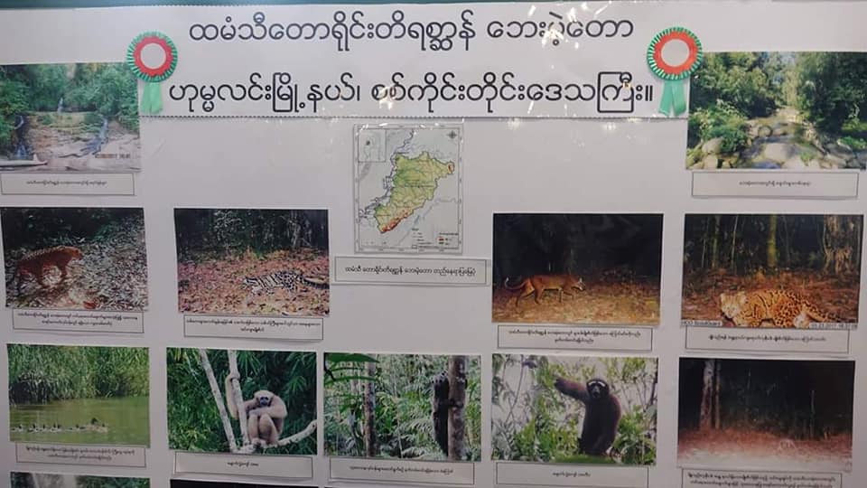 စစ္ကိုင္းတိုင္းတြင္ သဘာဝနယ္ေျမ ၅ ခုထပ္တိုးမည္
