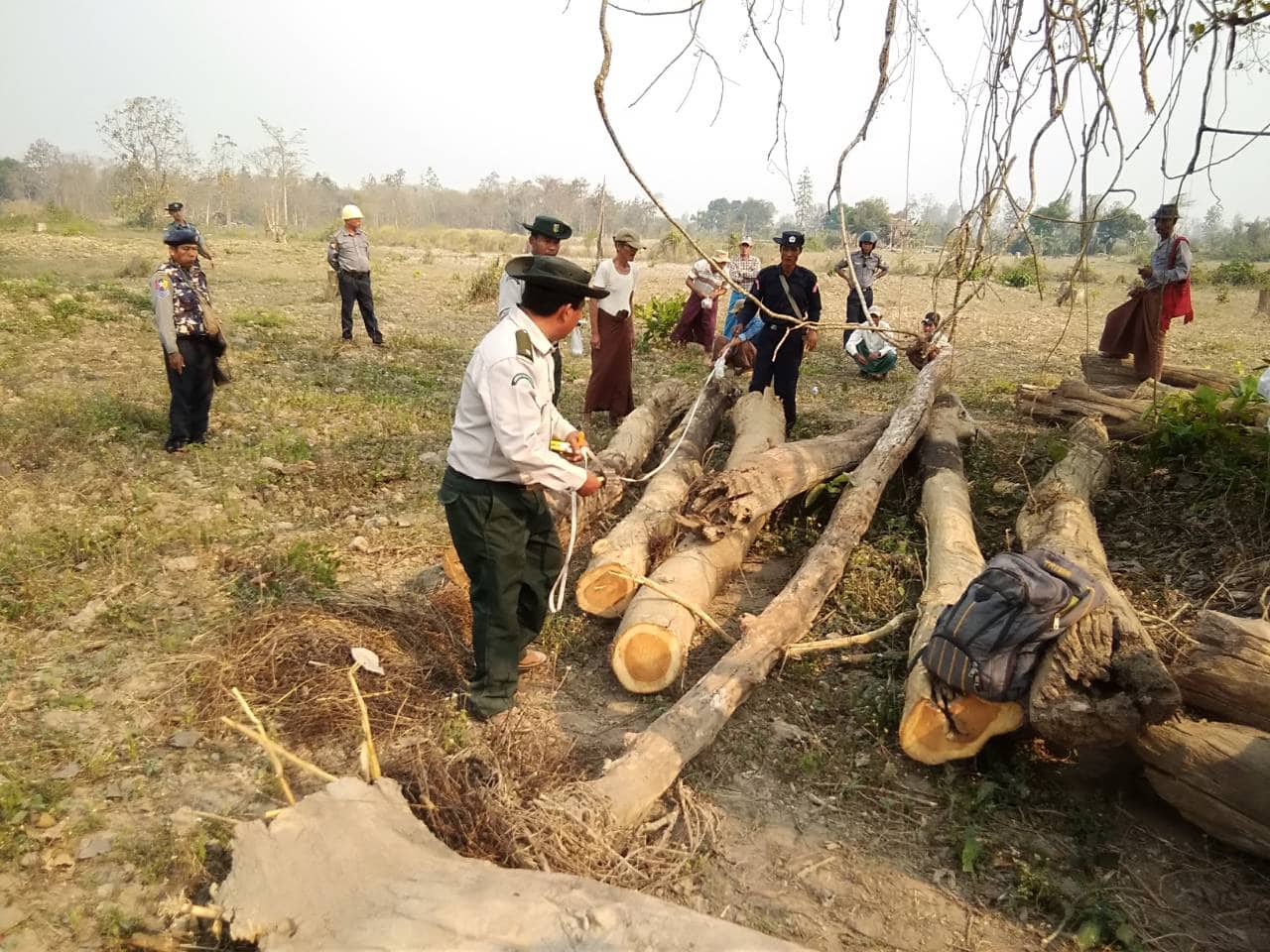 တရားမ၀င္ကၽြန္းသစ္ခုတ္ယူသည့္ ကုမၸဏီႏွင့္ ေတာင္သူ ၂ဦးကို တရားစဲြ