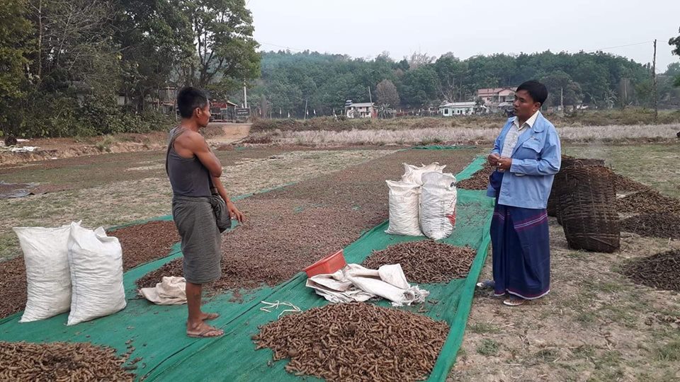 ကရင္ျပည္နယ္ထြက္ နႏြင္းမ်ား ေစ်းေကာင္းေပး၀ယ္ယူေန၊ စံခ်ိန္စံညႊန္းမီ စုိက္ပ်ဳိးၾကရန္ တုိက္တြန္း