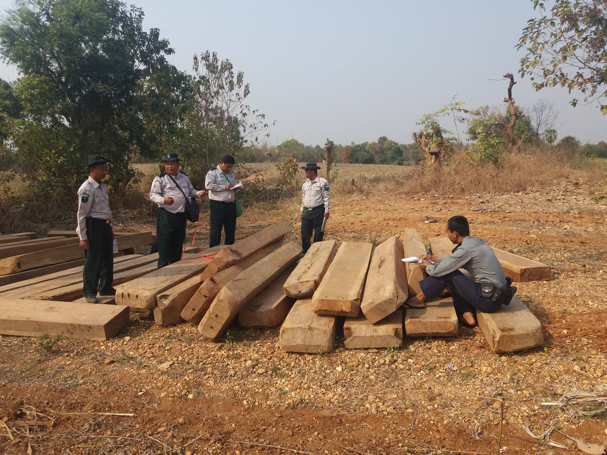စစ္ကိုင္းတုိင္းတြင္ တရားမ၀င္သစ္ ဖမ္းဆီးရမိမႈ ယမန္ႏွစ္ထက္ ေလ်ာ့နည္းသြား
