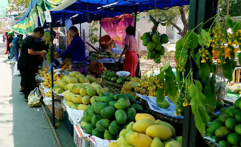 မႏၱေလး သရက္သီးေစ်းပြဲေတာ္တြင္ သရက္သီး ၁ လံုး က်ပ္ ၅၀ ျဖင့္ ေရာင္းခ်မည္