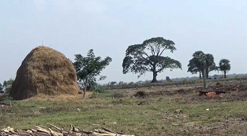ပဲခူးတုိင္းအတြင္း လယ္သမားမ်ား စုိက္ပ်ဳိးစရိတ္ေခ်းေငြ ၅၀ ရာခုိင္ႏႈန္းခန္႔သာ ျပန္ဆပ္
