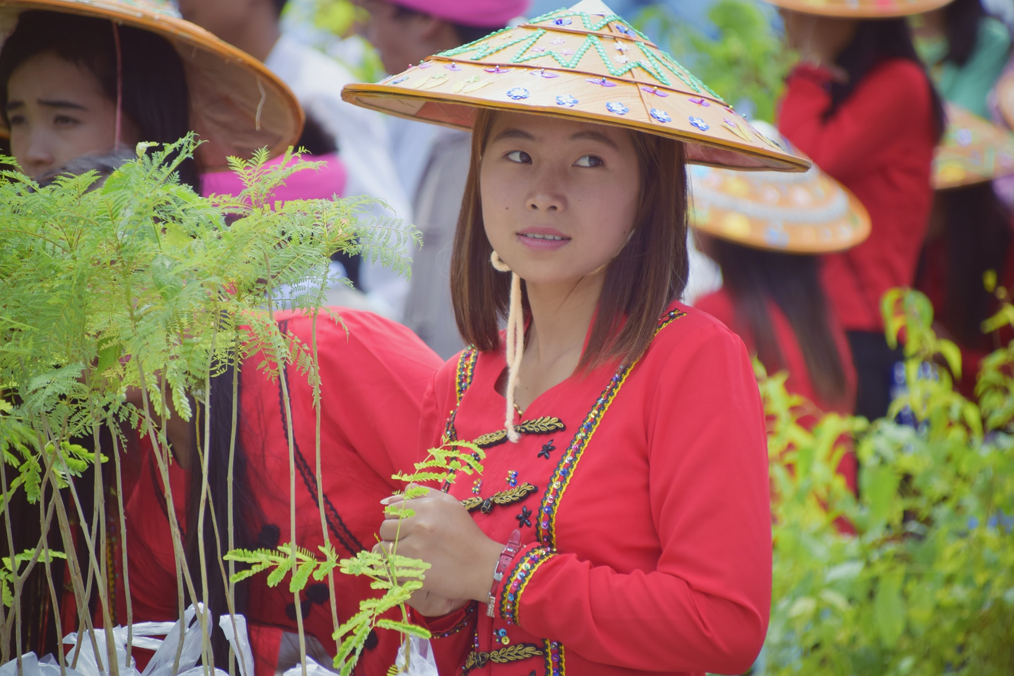 ပ်ဳိးပင္ေလးေတြ ျပန္ကမ္းတဲ့ မဂၤလာေဆာင္ (ဓာတ္ပုံ)
