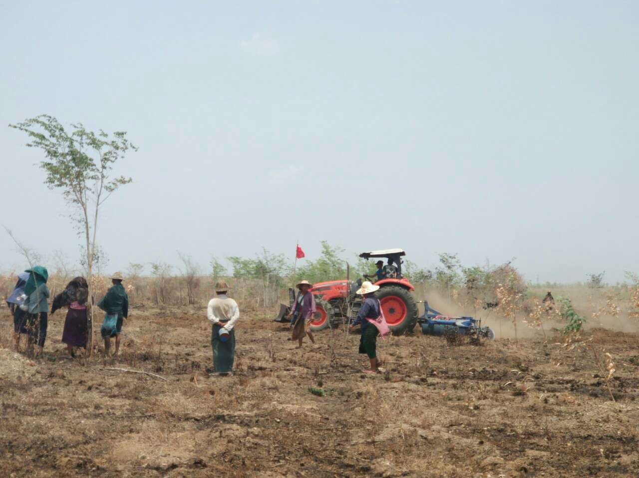 မလိႈင္ သစ္ေတာႀကိဳးဝုိင္း ထင္းစုိက္ခင္းအတြင္း ထြန္ယက္သည့္ ေတာင္သူ ၃ ဦးကုိ အမႈဖြင့္